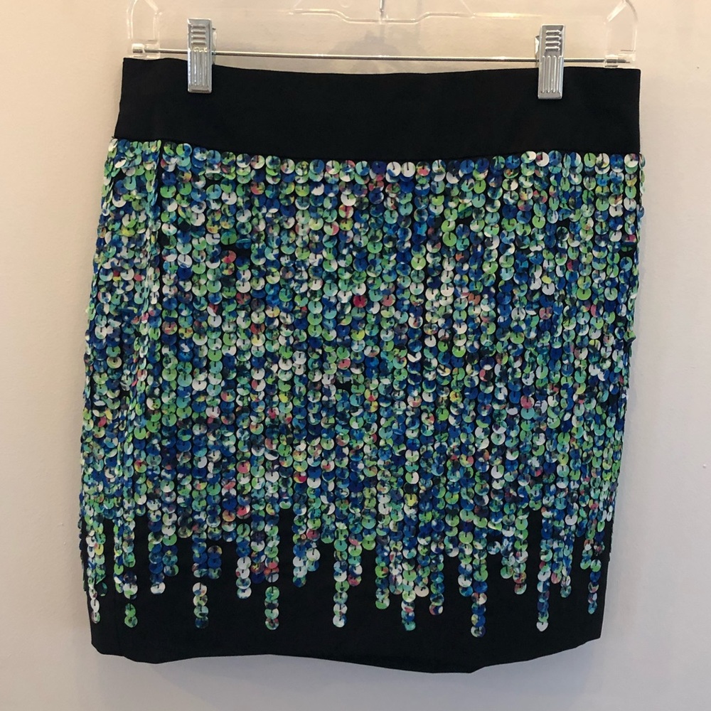 NWT Ann Taylor Chiffon “Sequin” Skirt- Size 6P
